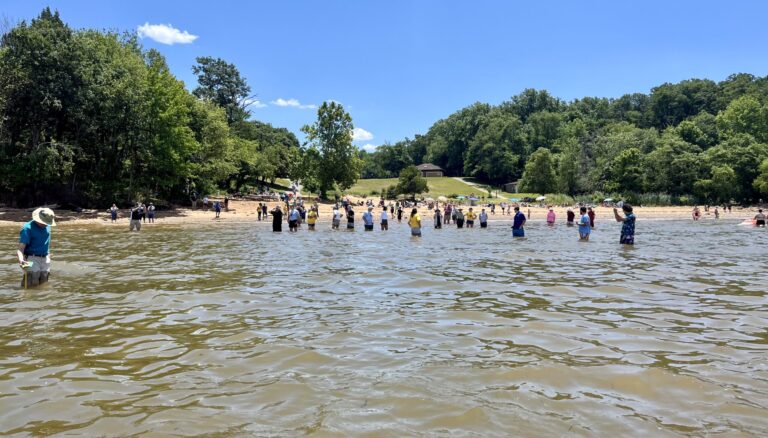 ENERWA Cecil County Wade In 2024