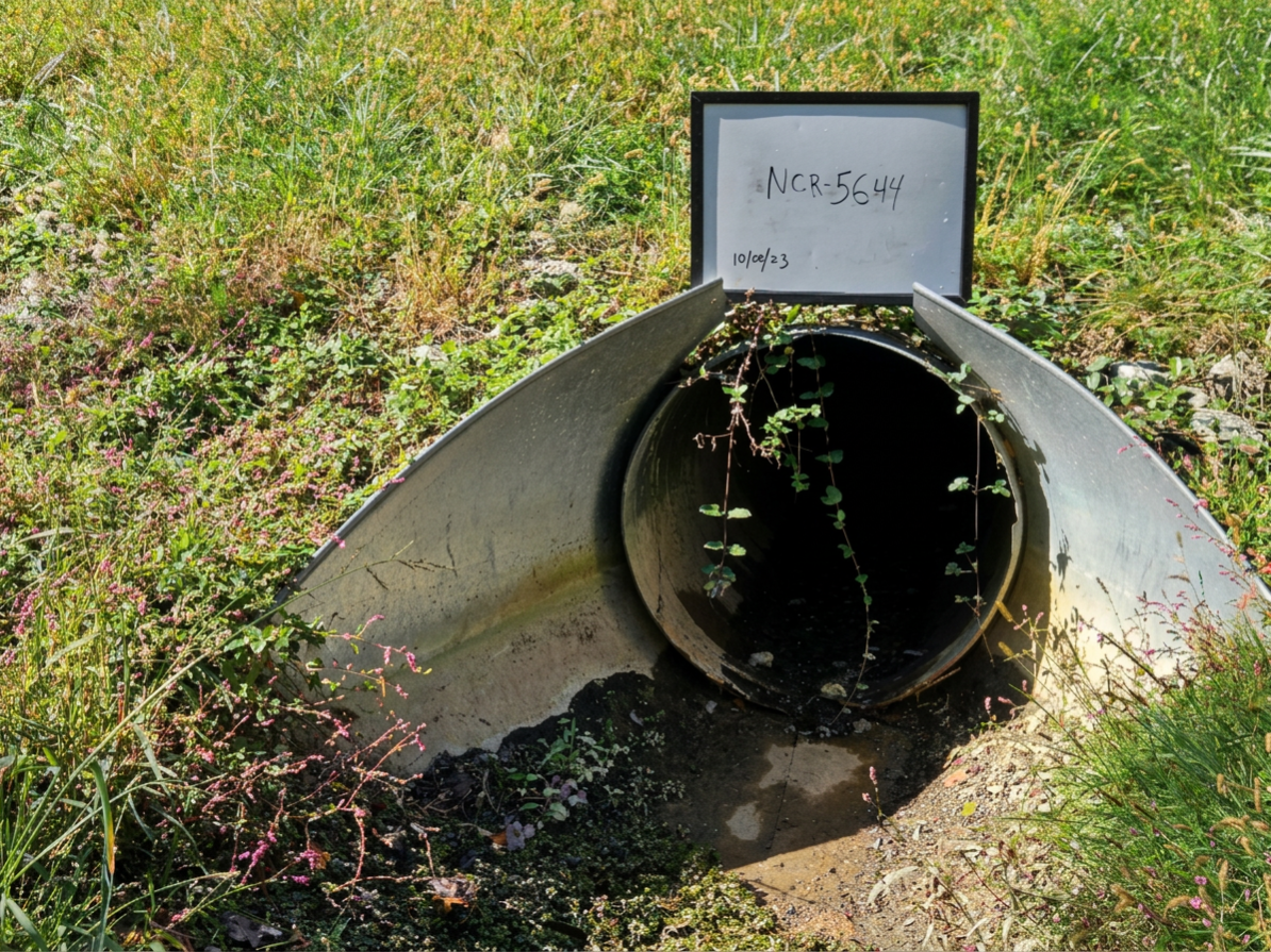 Outfall Inspections 2025
