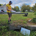 Outfall Inspections 2025